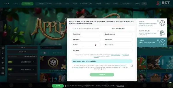 Proceed to provide your details on 22bet Casino