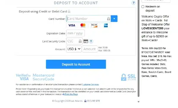 Enter Your Amex Card Details And Deposit Amount