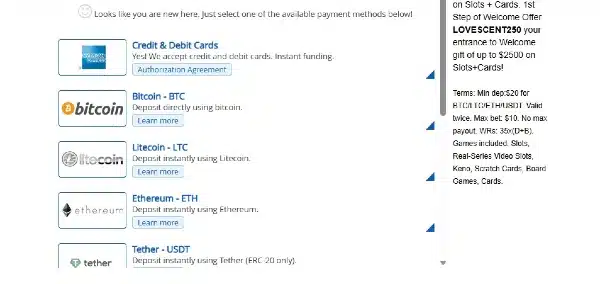 Select Amex as Your Payment Method