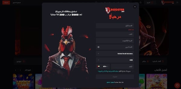 Enter your name, email, and password, choose your country and currency, then enter your phone number on the Rooster Bet register page.