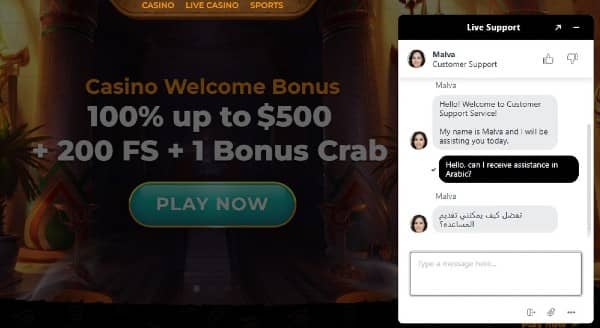 Customer Support at AmunRa Casino