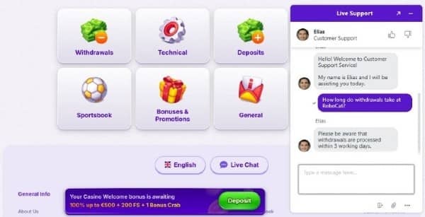 Customer Support at RoboCat casino