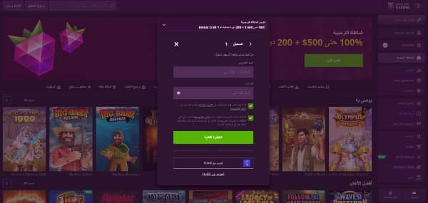 Enter your email, create a password and accept terms and conditions on Malina Casino