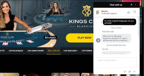 Customer Support on PalmSlots casino site